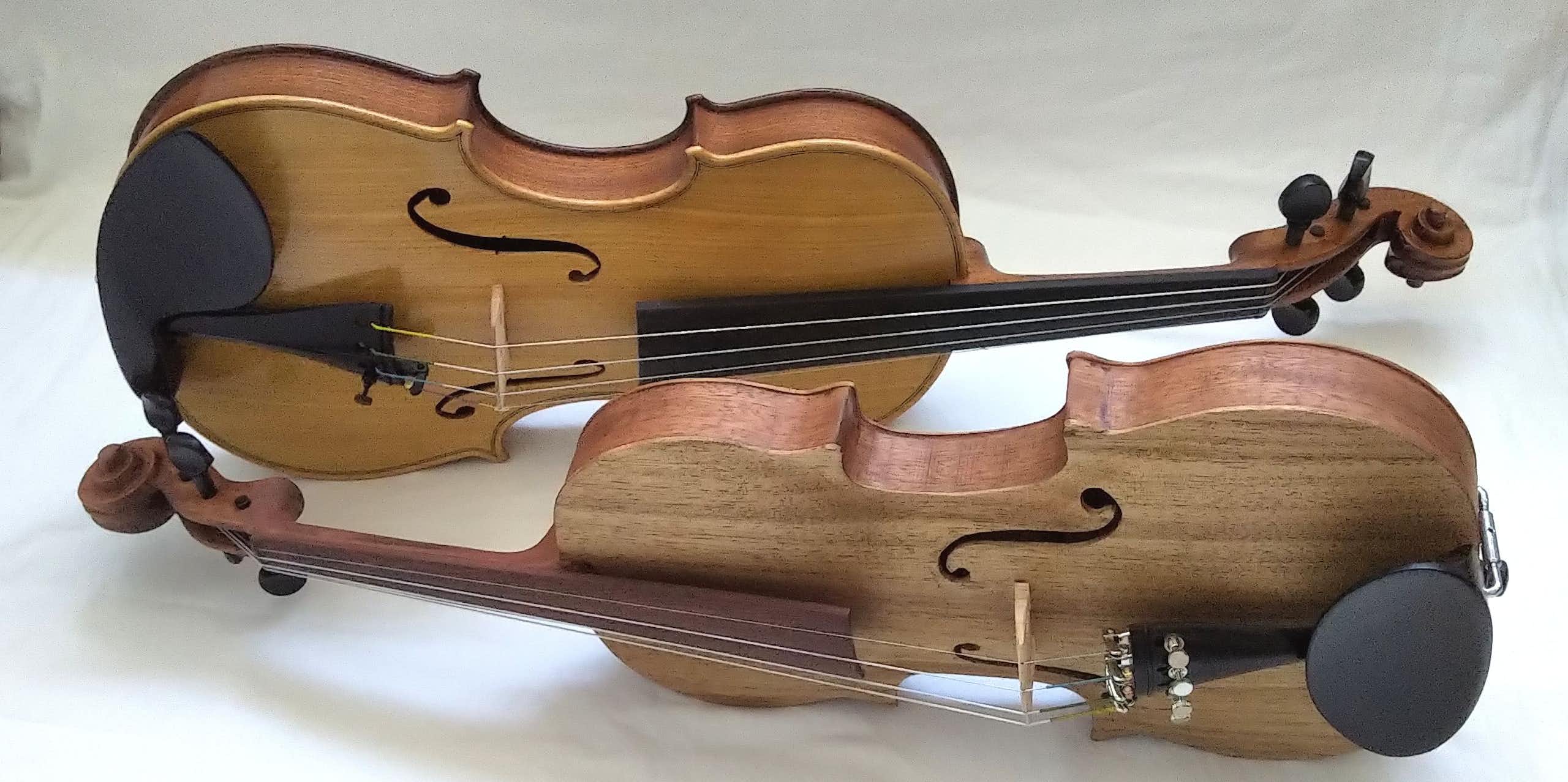 Two violins, newly made, are displayed, each in two different types of wood with different brown colours.