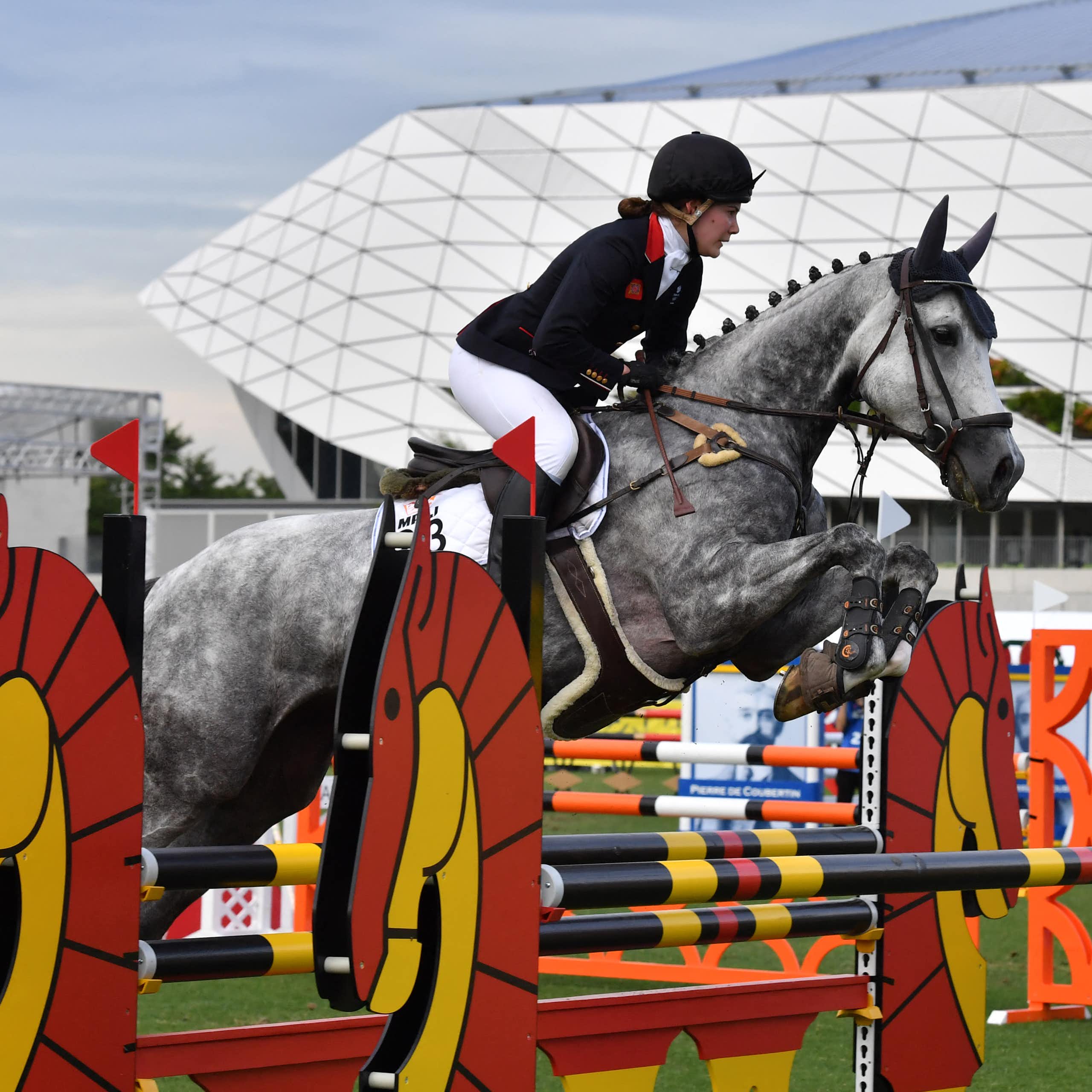 Aux JO 2024, un dernier tour de piste pour les chevaux du pentathlon