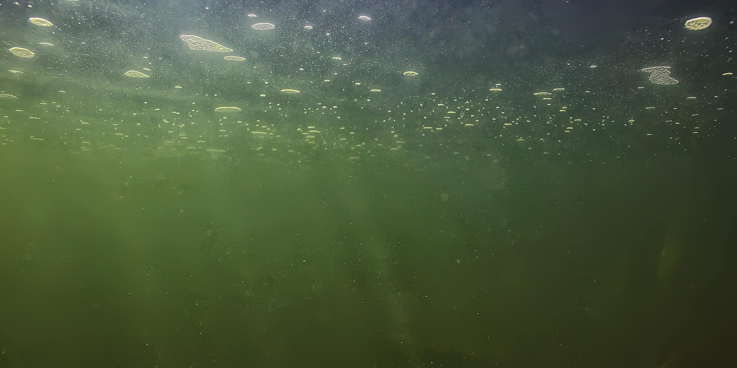 underwater with filtered green light