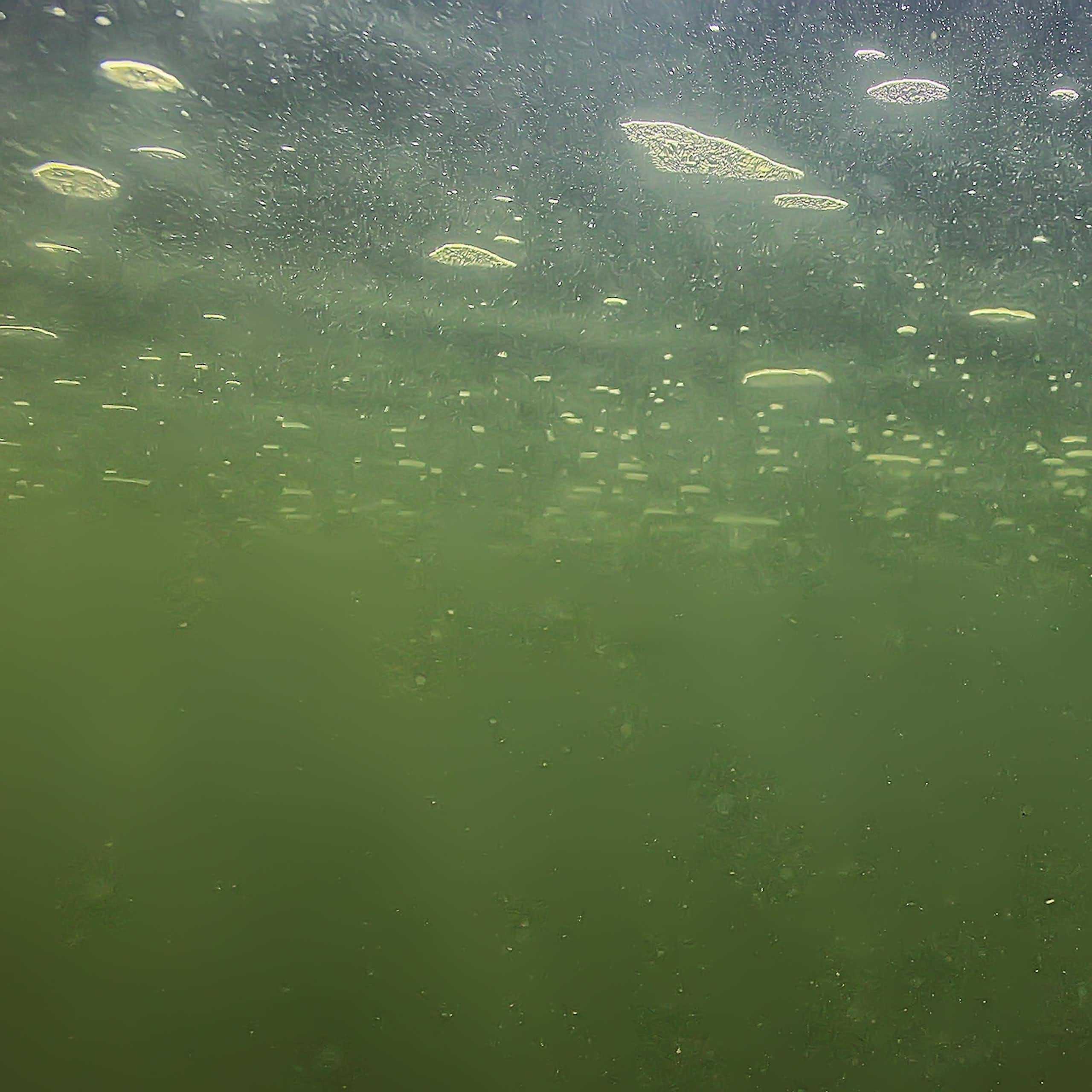 underwater with filtered green light