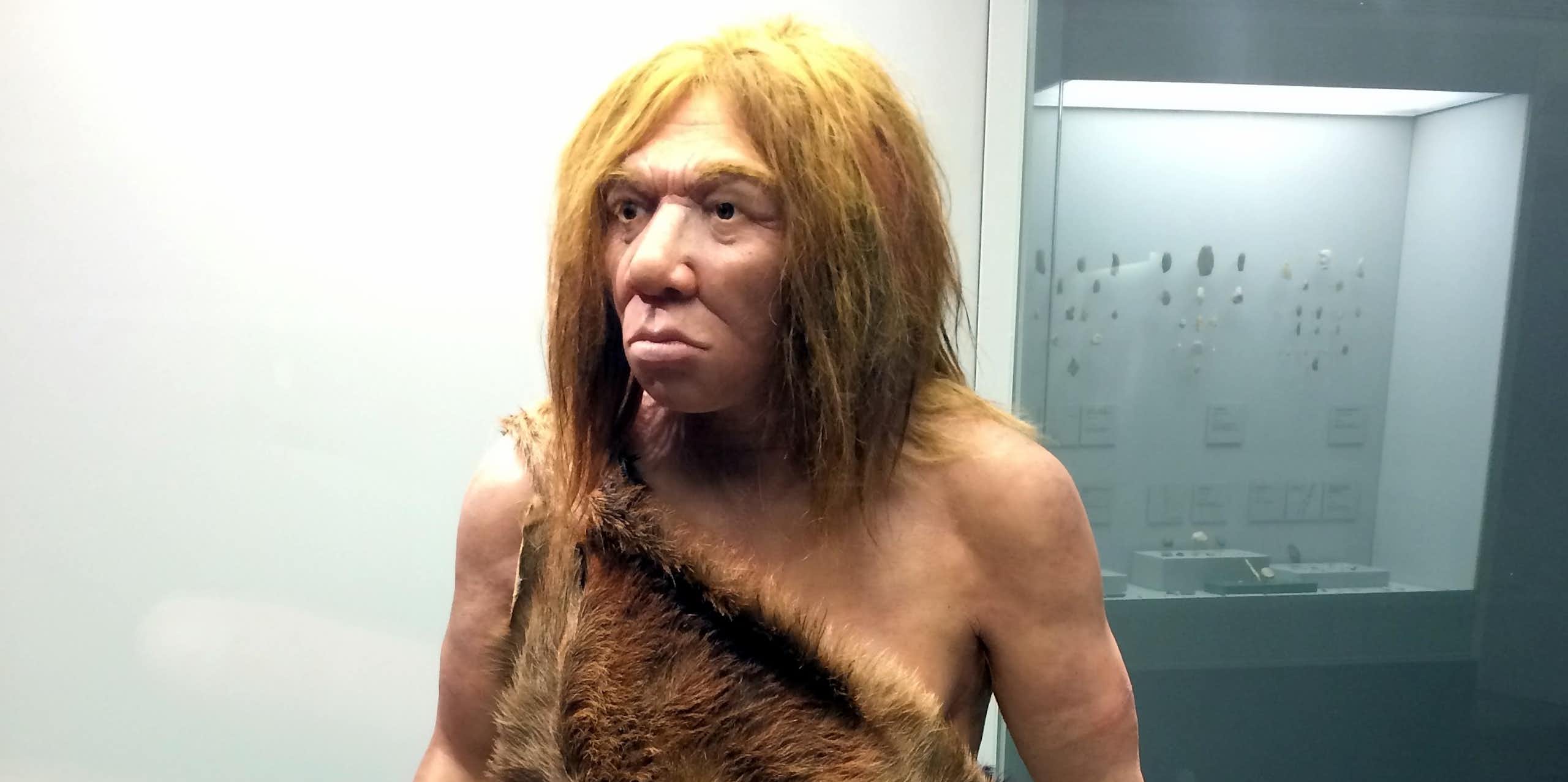 Reconstrucción del aspecto físico de un hombre de Neandertal.
