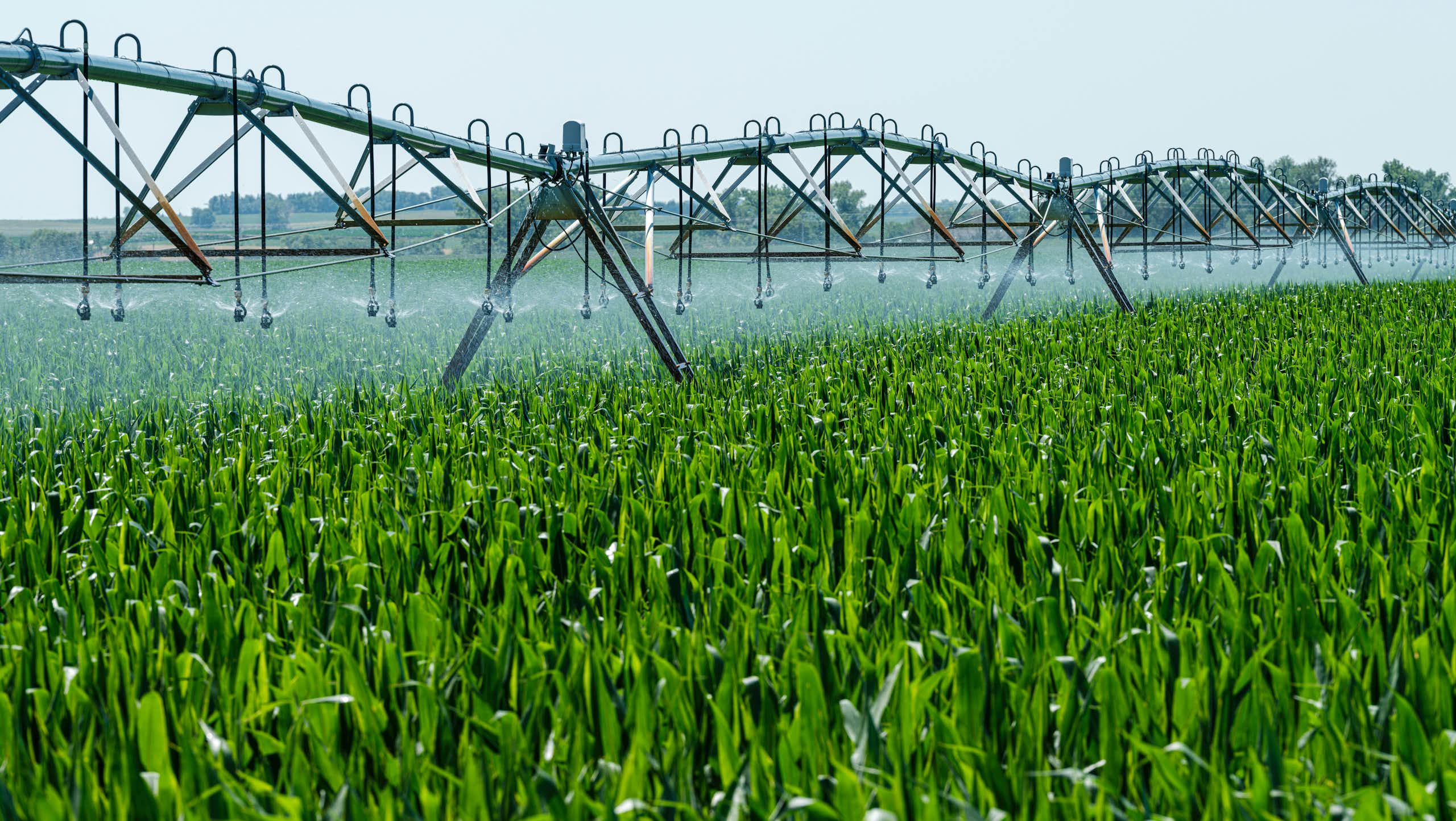 Irrigation de cultures. 