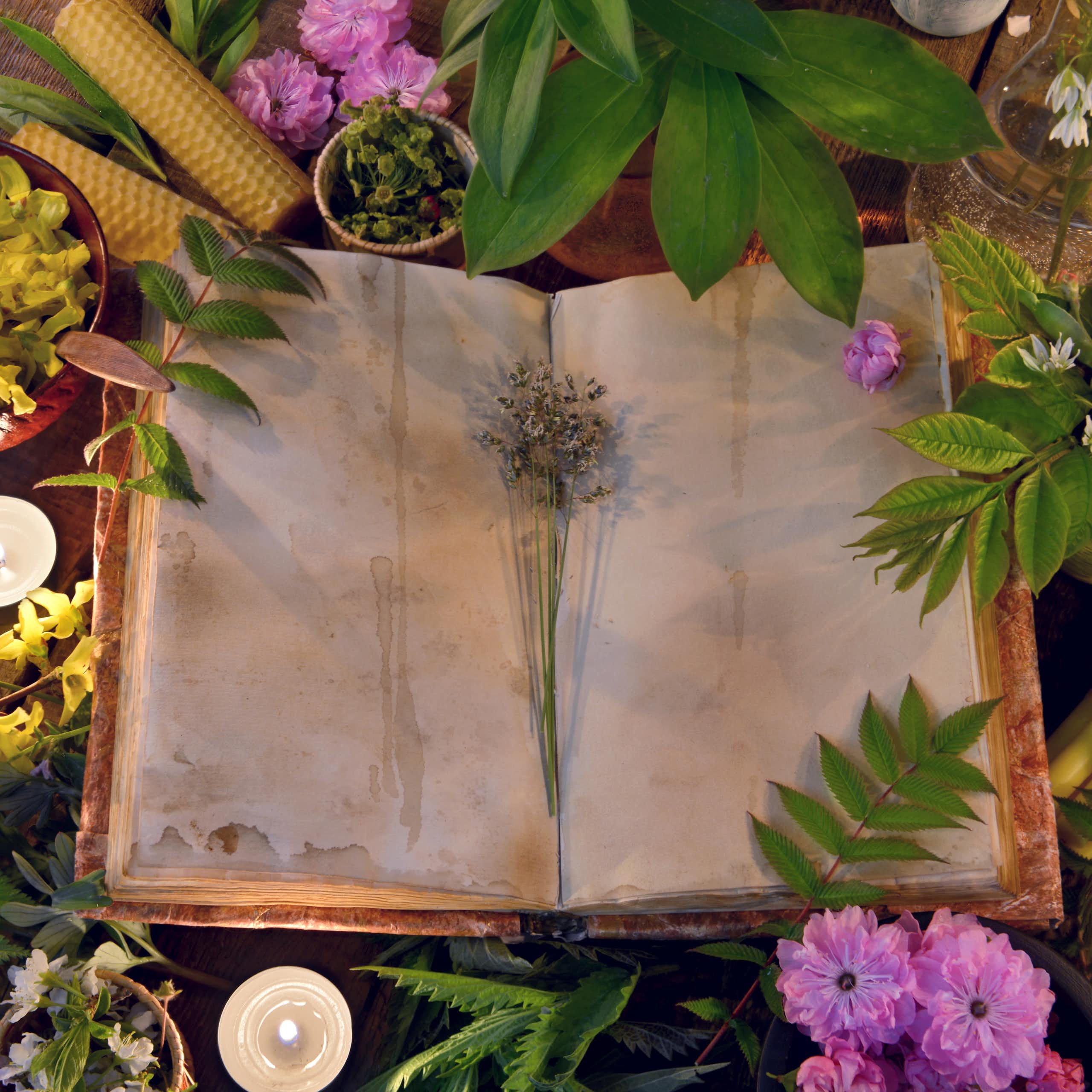 Still life with open book on table with healing herbs and candles. 
