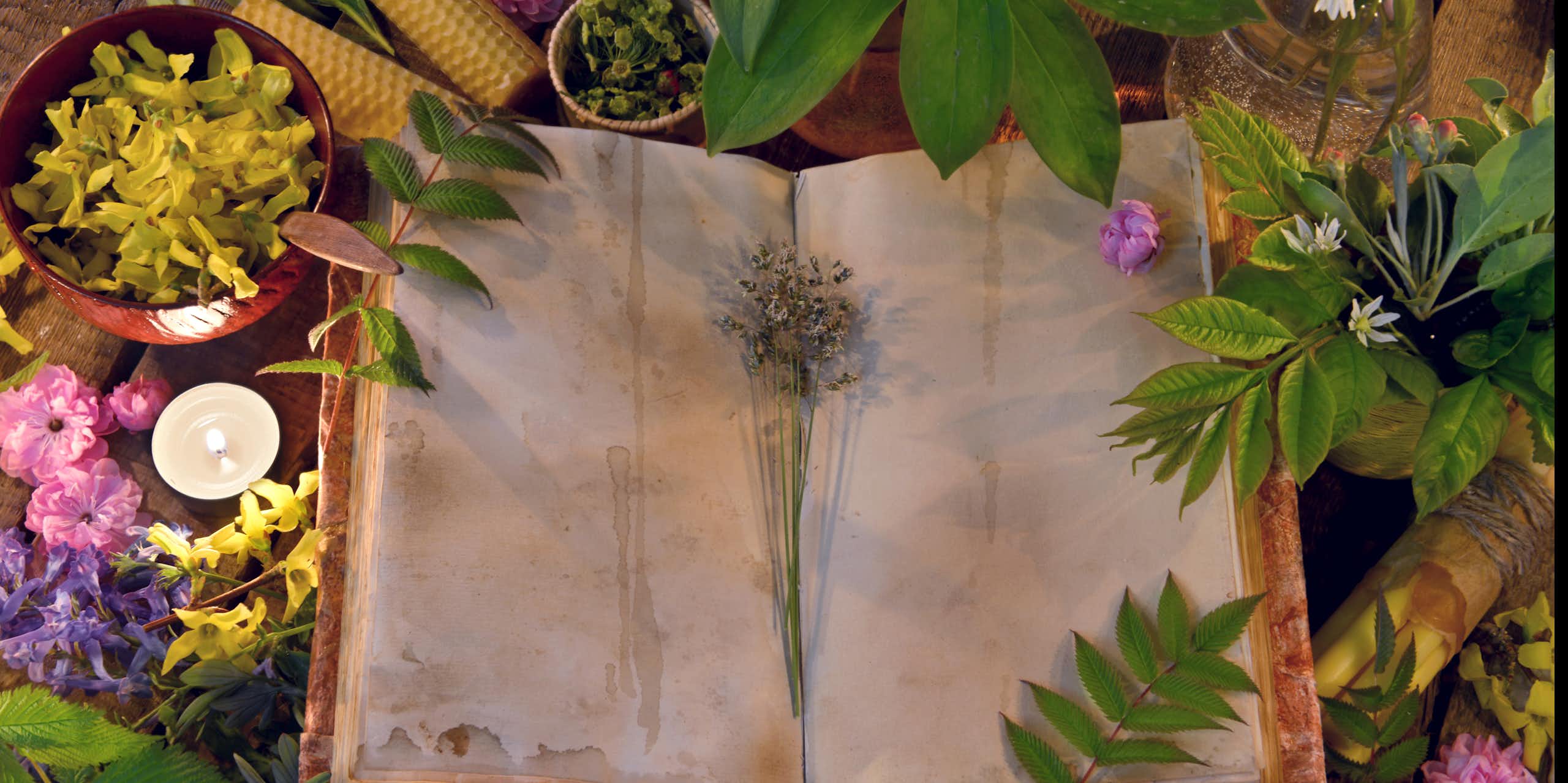 Still life with open book on table with healing herbs and candles. 