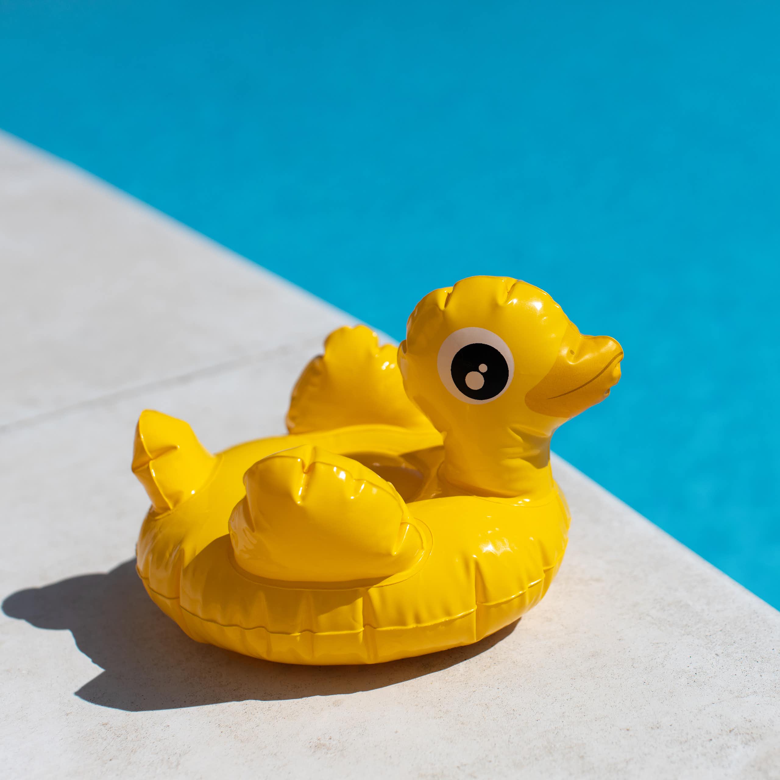 inflatable duck