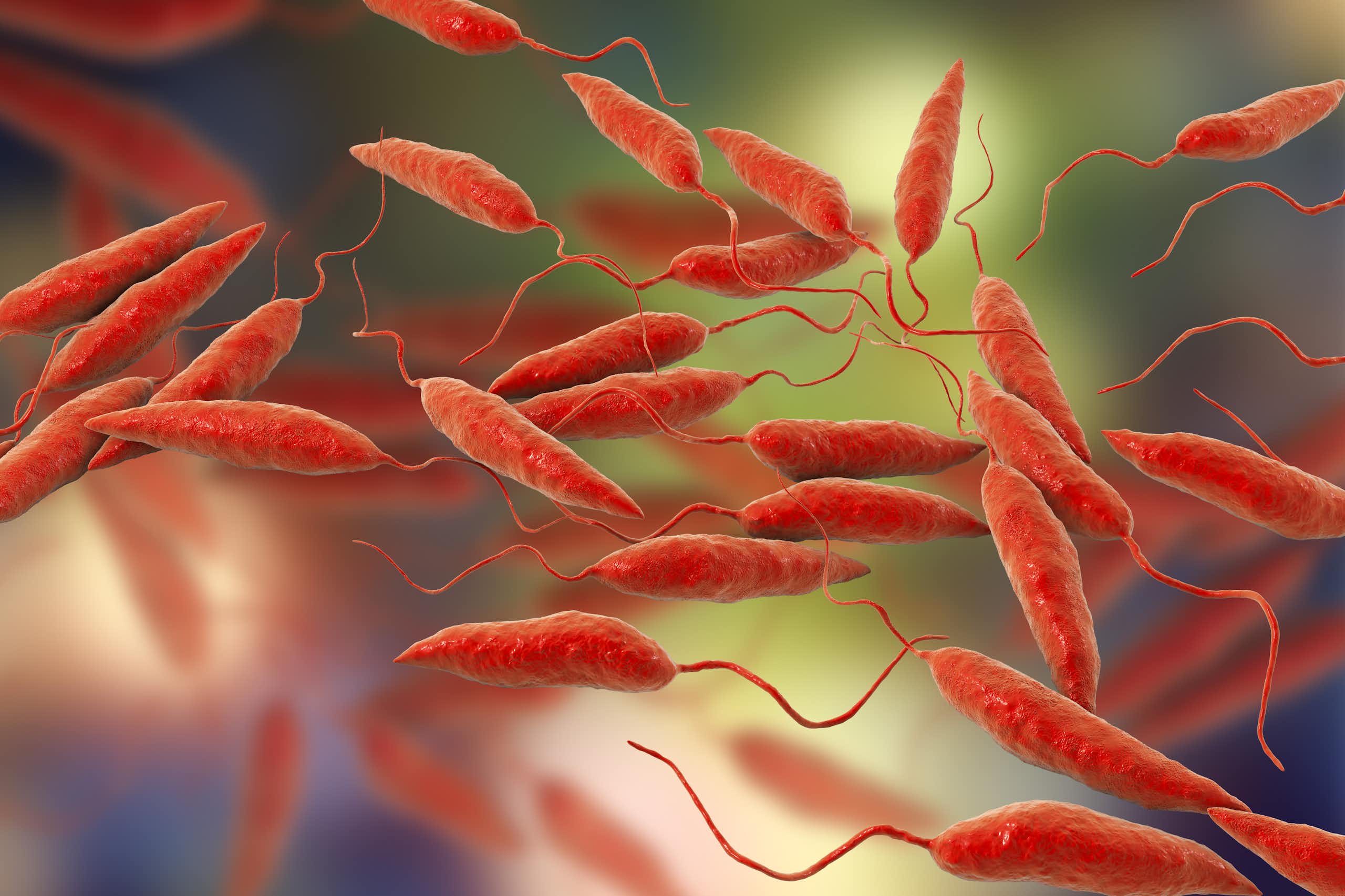 Leishmaniasis: this neglected tropical disease is spreading fast, and Europe is nowhere near prepared