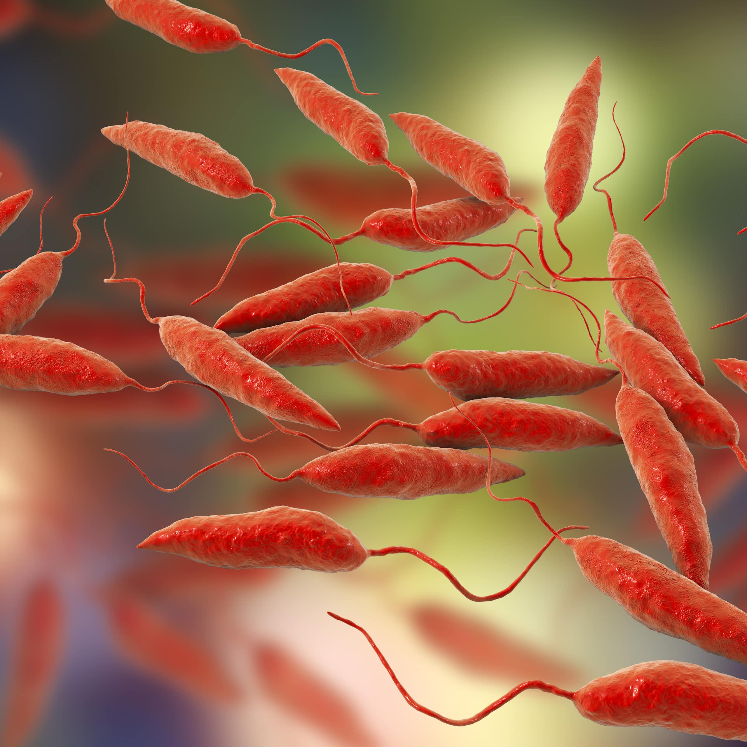 Leishmaniasis: this neglected tropical disease is spreading fast, and Europe is nowhere near prepared
