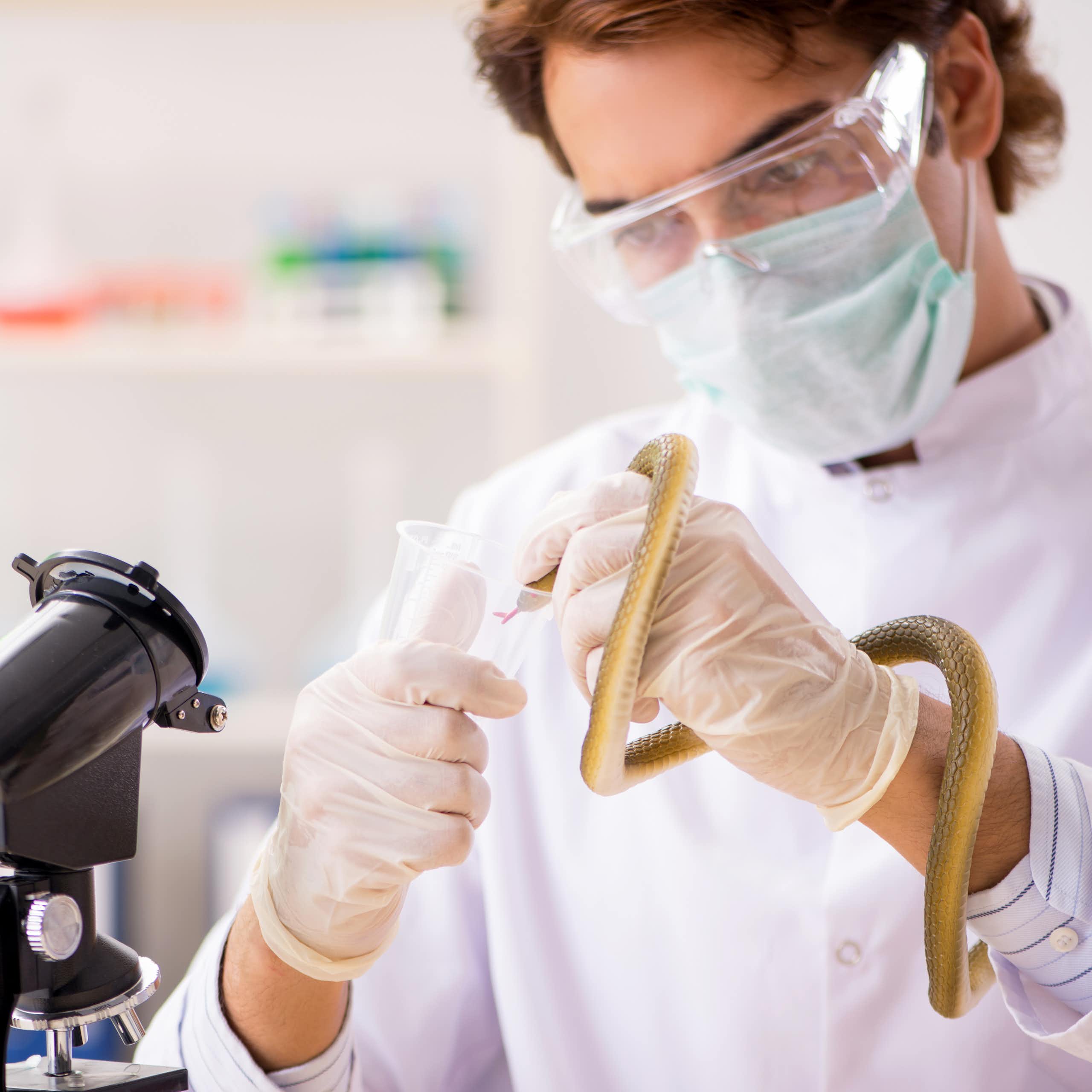 De letal a vital: venenos animales en la vanguardia biomédica