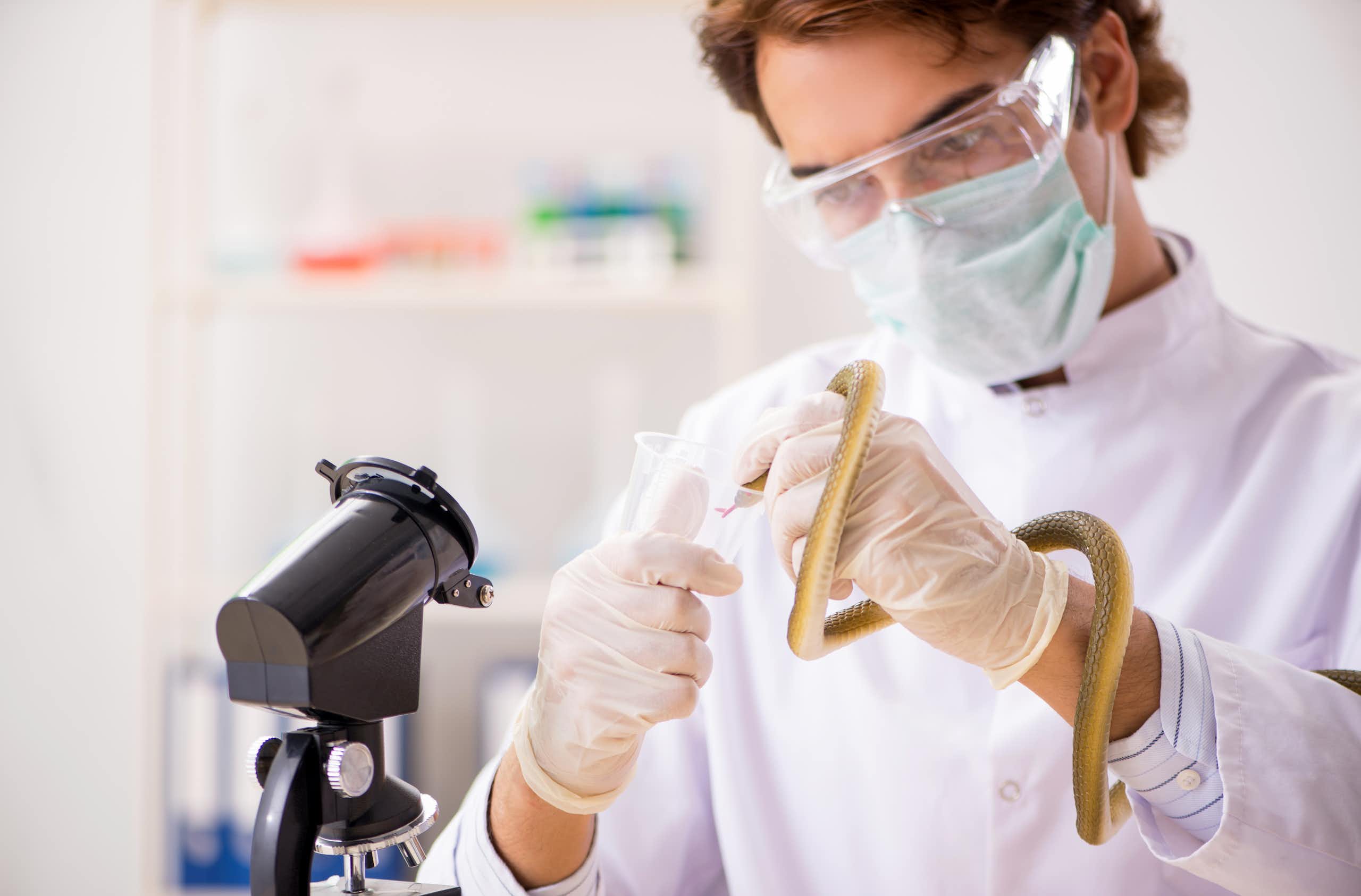 De letal a vital: venenos animales en la vanguardia biomédica