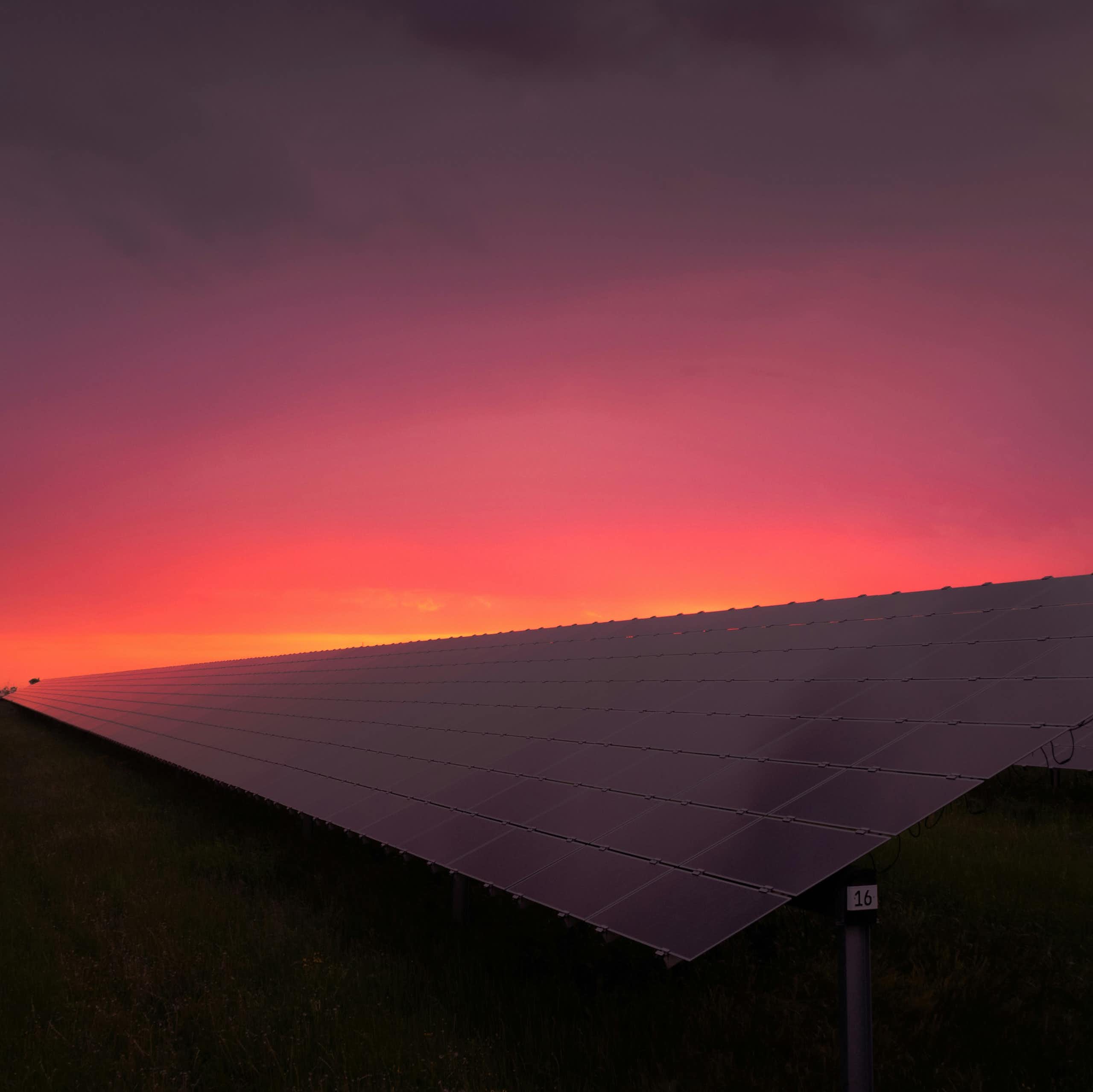 Des panneaux solaires sous la lumière du soleil couchant.