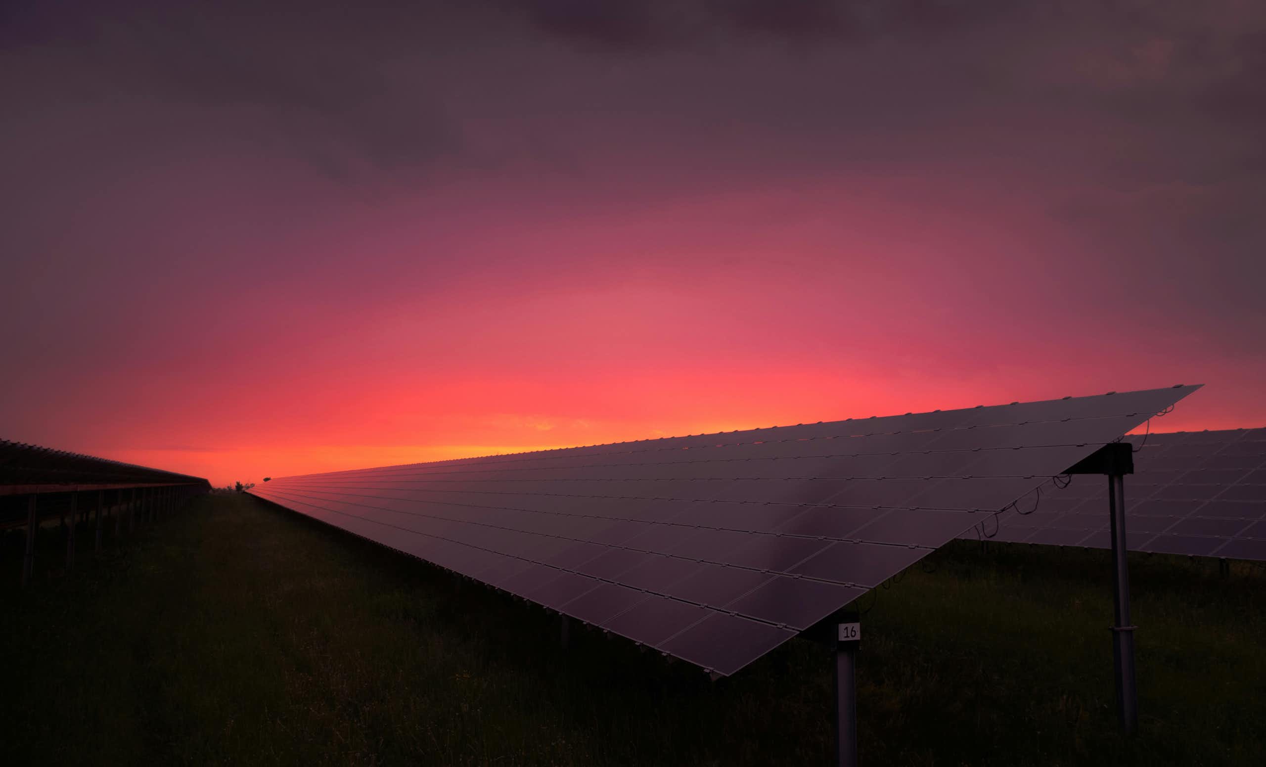 Des panneaux solaires sous la lumière du soleil couchant.