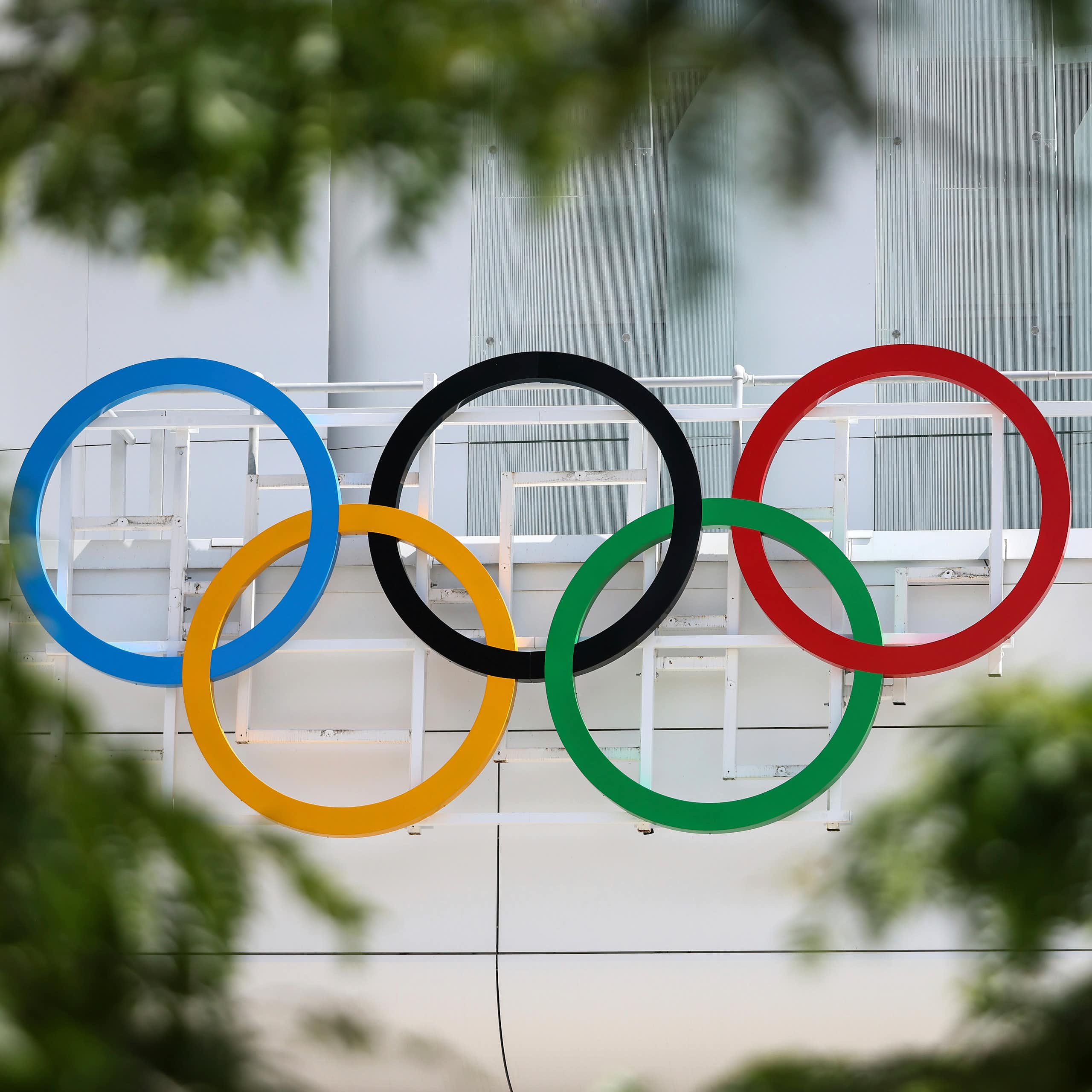 The five Olympic rights, coloured blue, black, red, yellow and green, are seen through green foliage