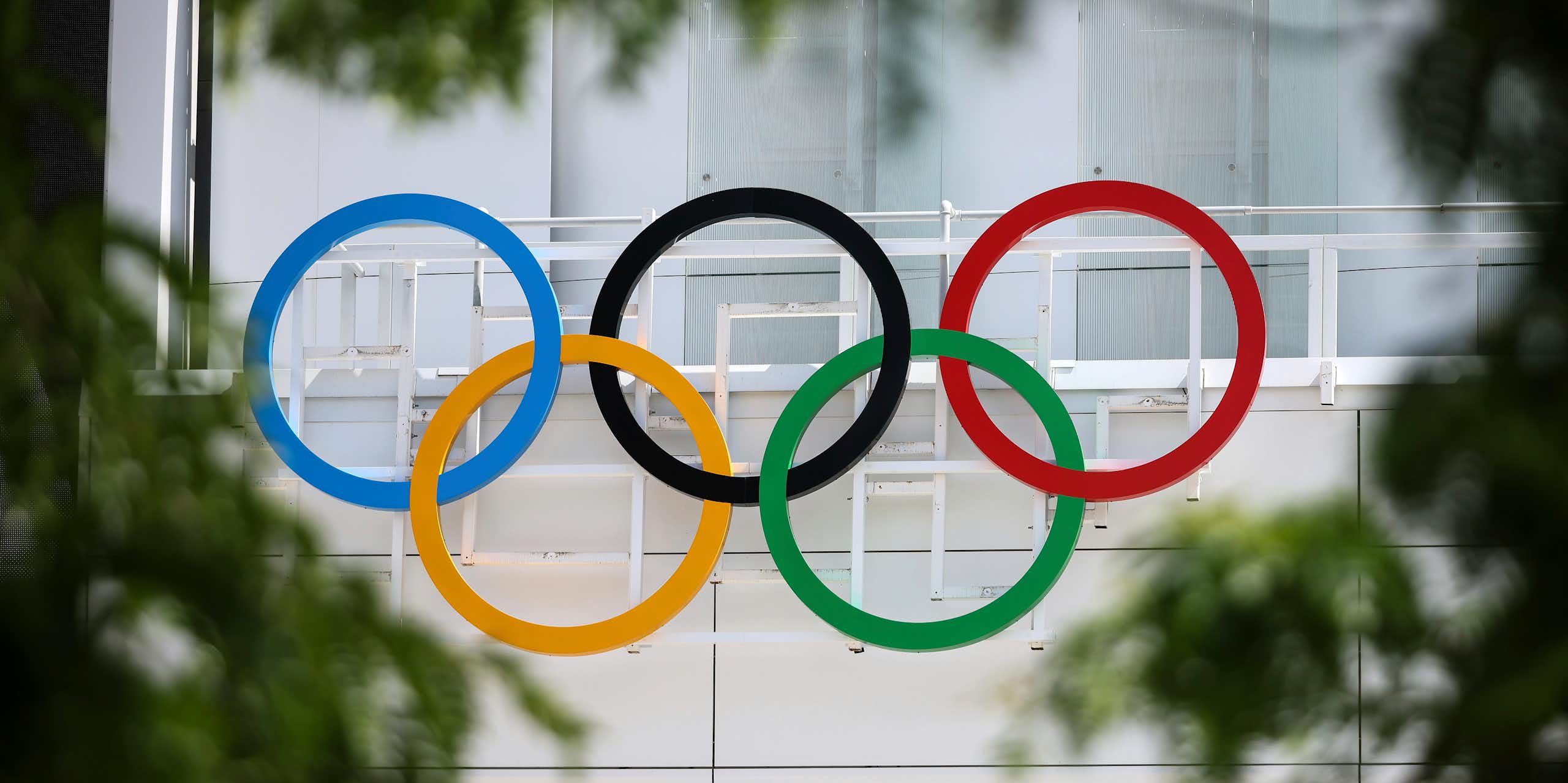 The five Olympic rights, coloured blue, black, red, yellow and green, are seen through green foliage