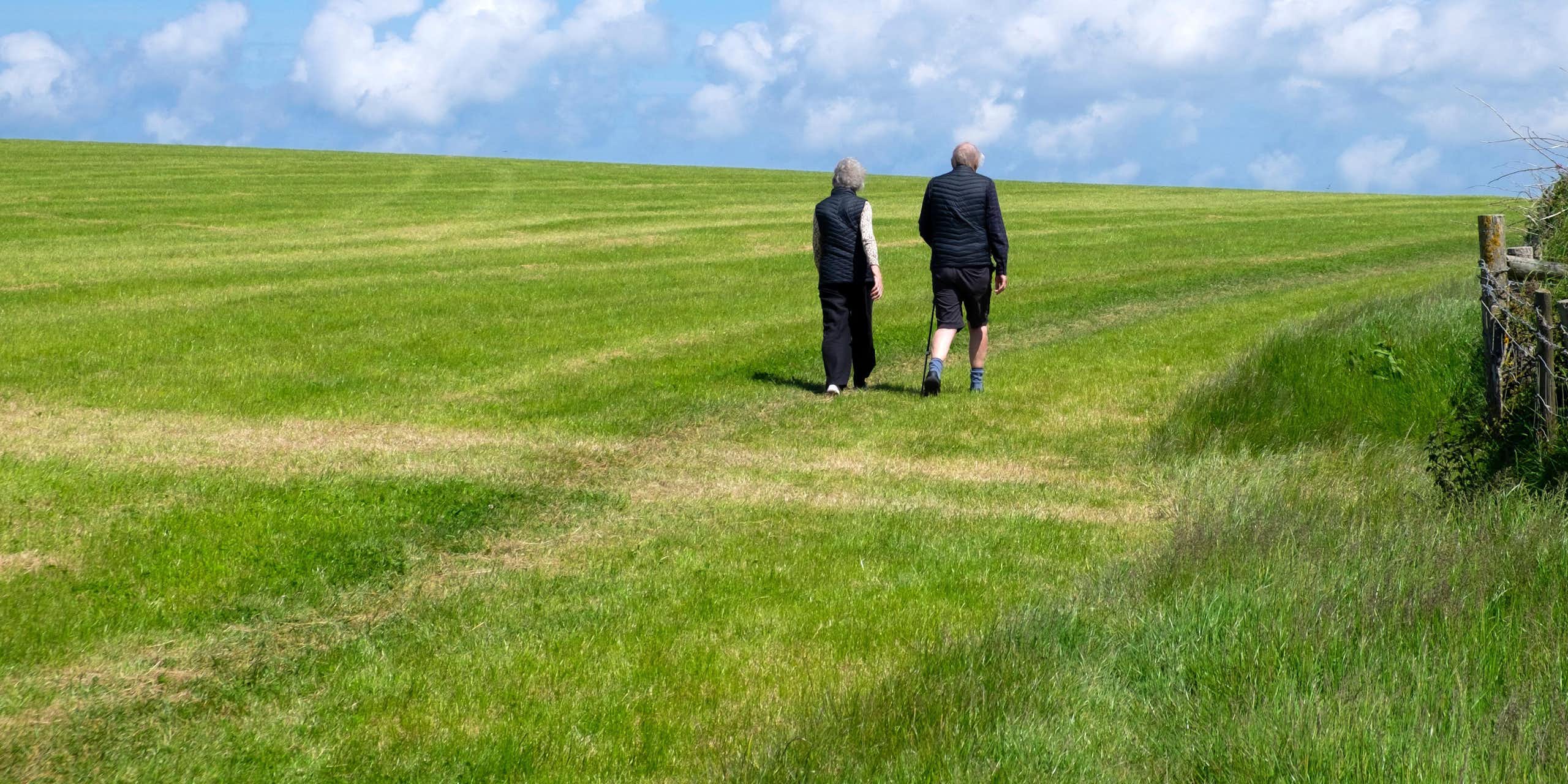 Casal de idosos caminhando em um campo verde