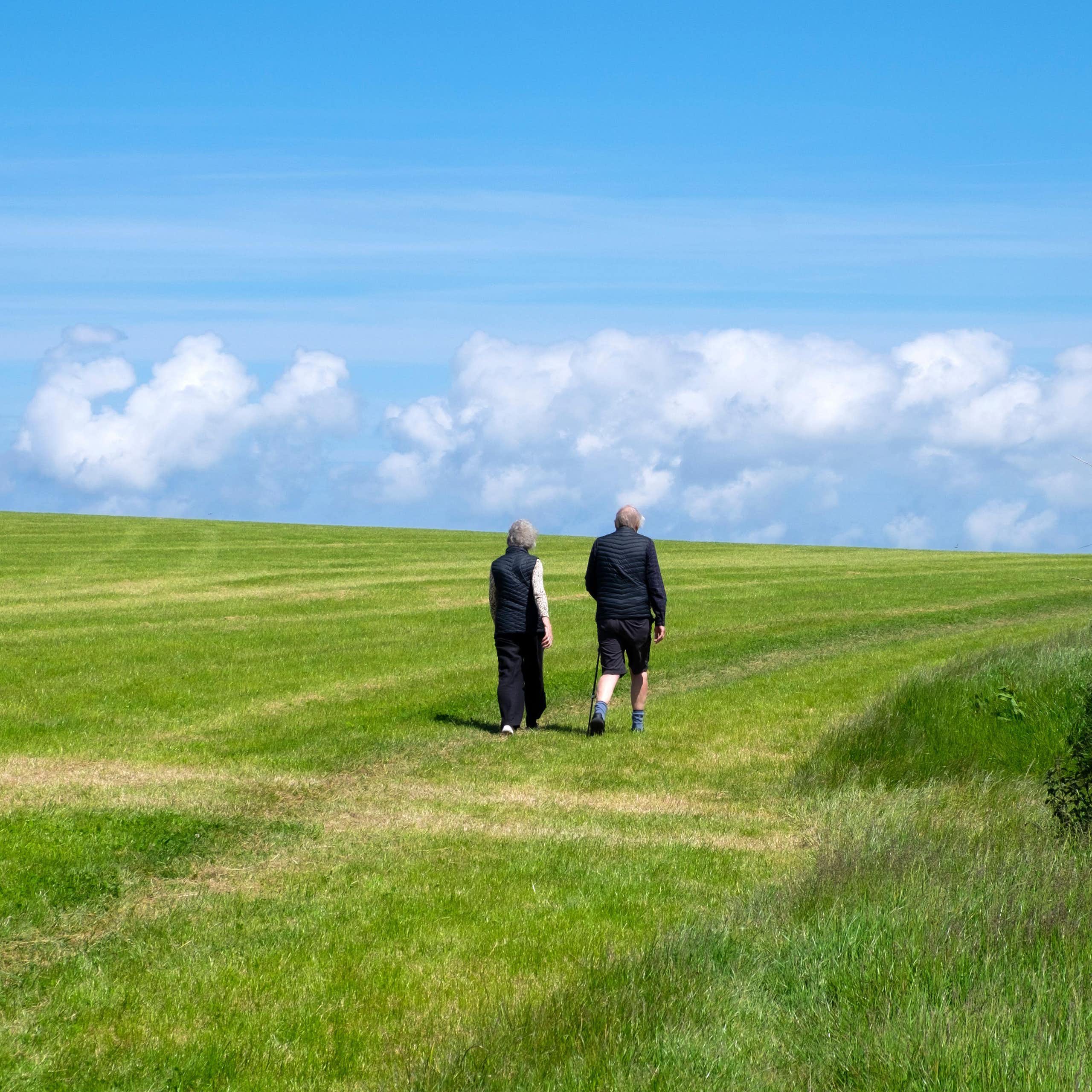 Casal de idosos caminhando em um campo verde