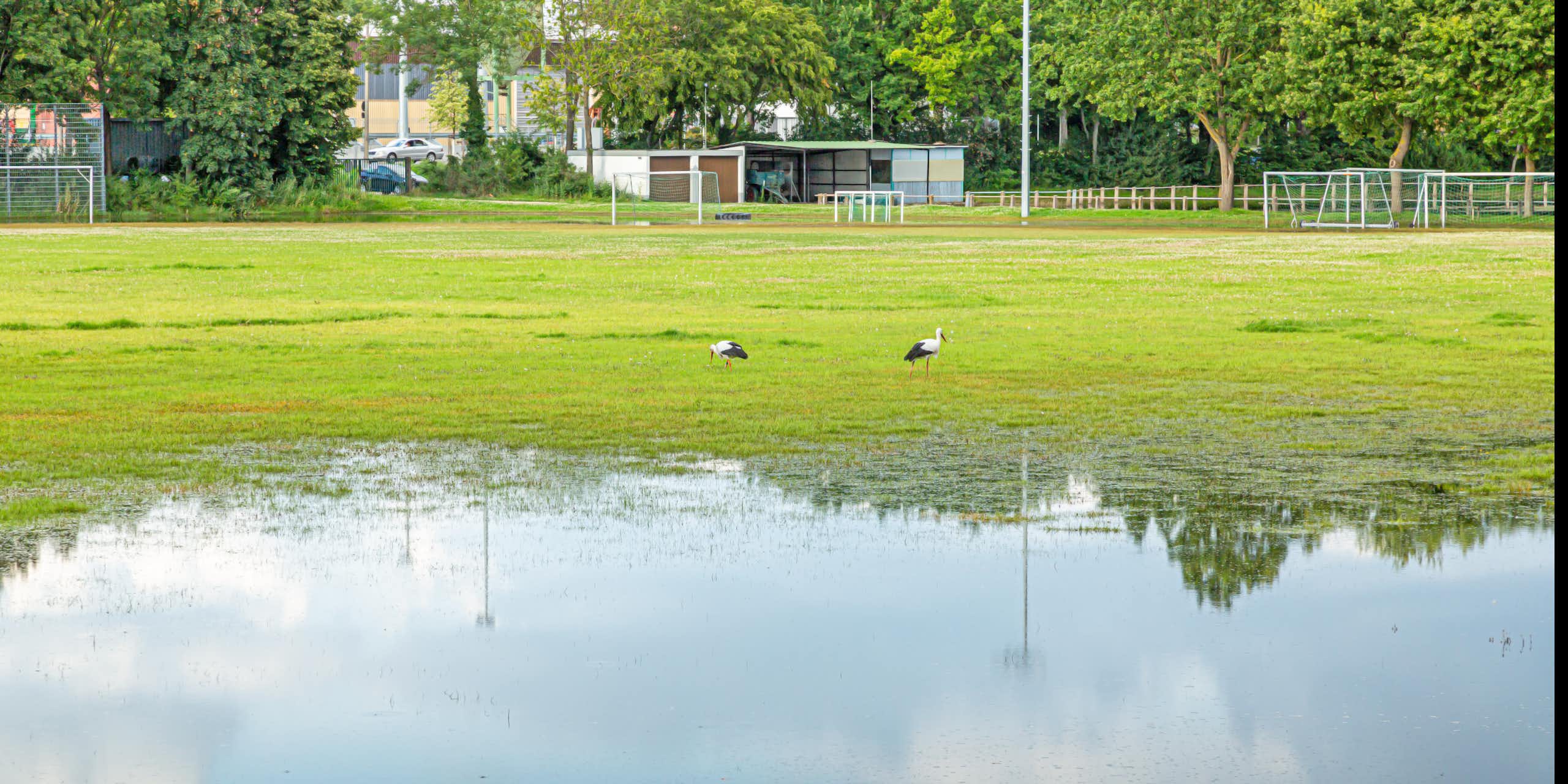 A waterlogged sports field lies deserted.