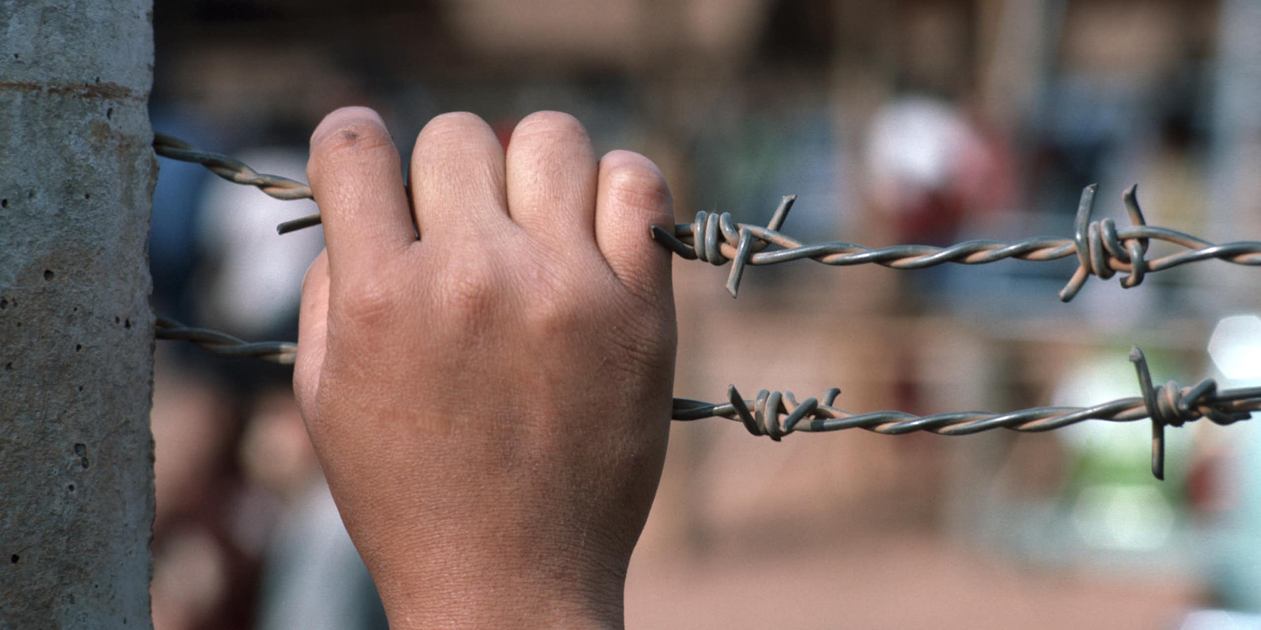 A hand holding a barbed wire fence