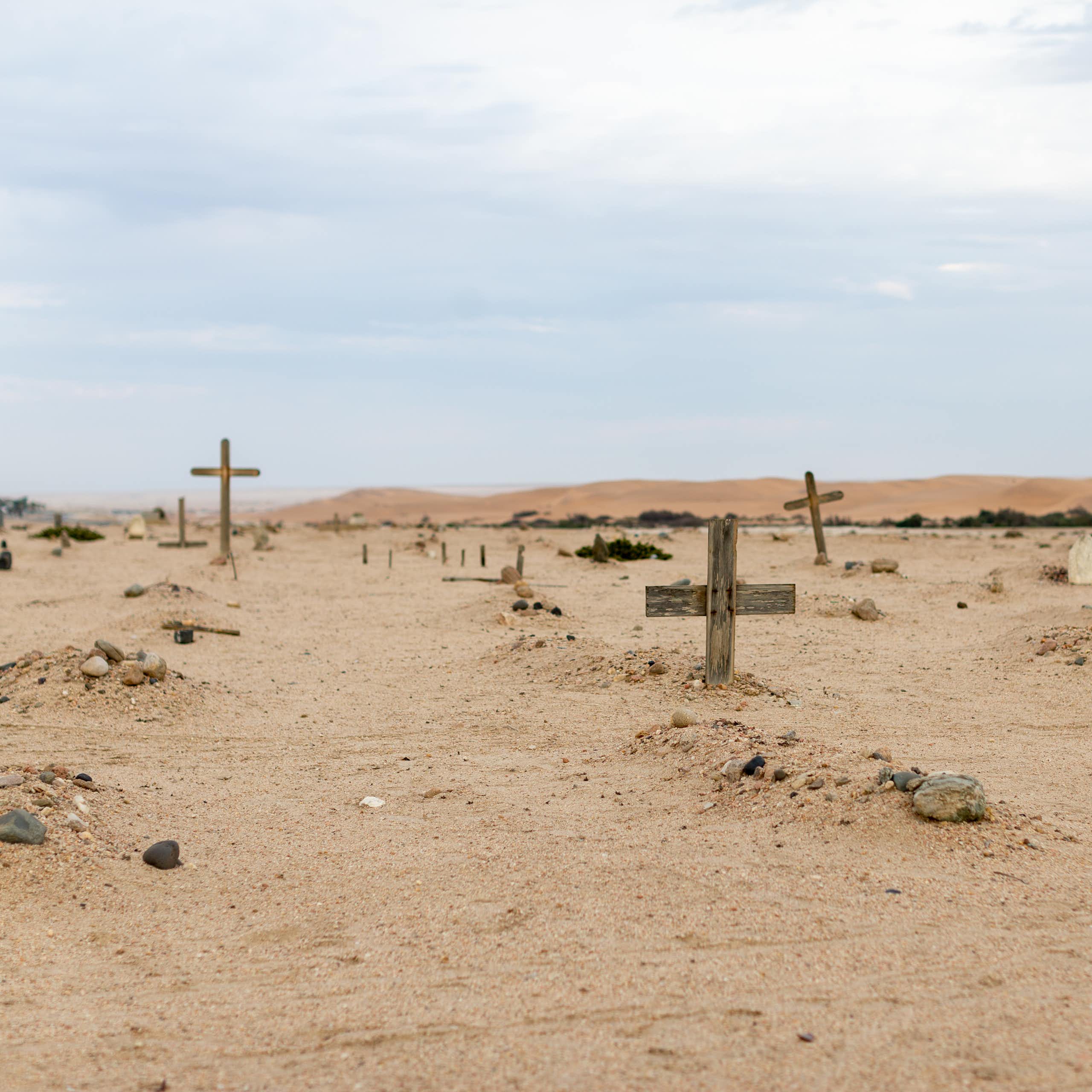 A dusty landscape marked by random, rustic wooden crosses sticking out of the ground.