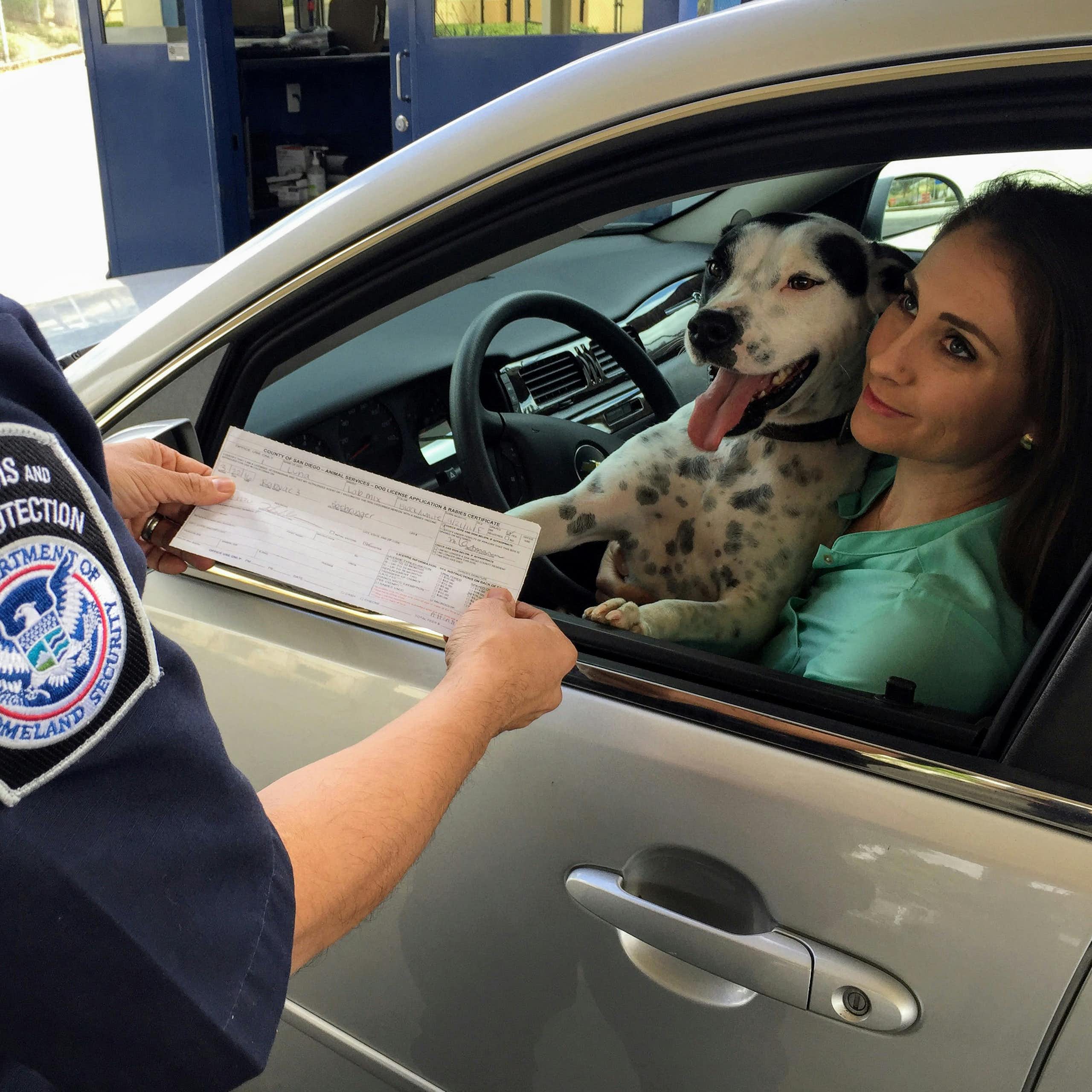 The shoulder and arm of a U.S. Customs and Border Protection agent in the foreground, holding a form, and a woman with a dog in a car with the window rolled down