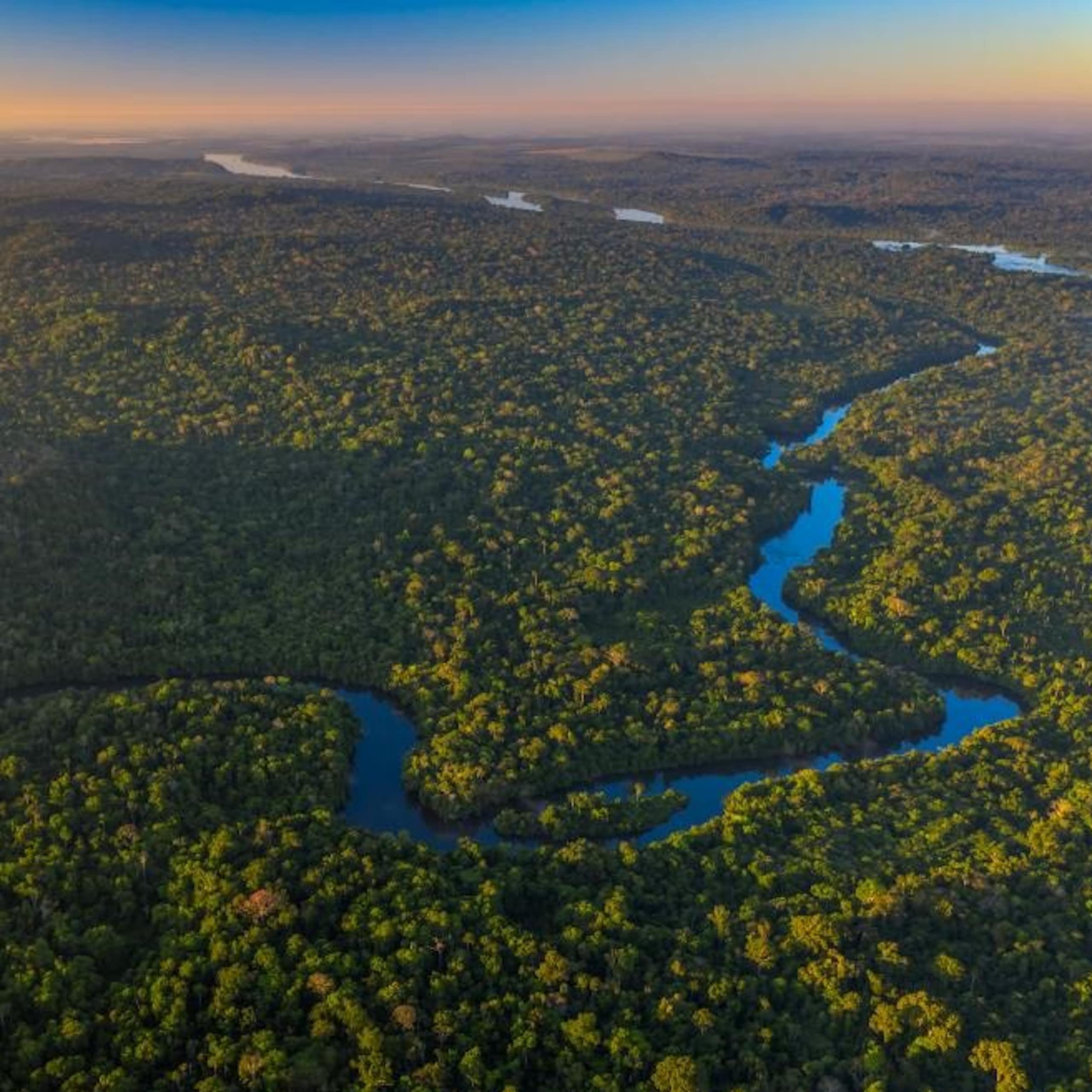 Imagem aérea mostra região de árvores cortada por um longo rio