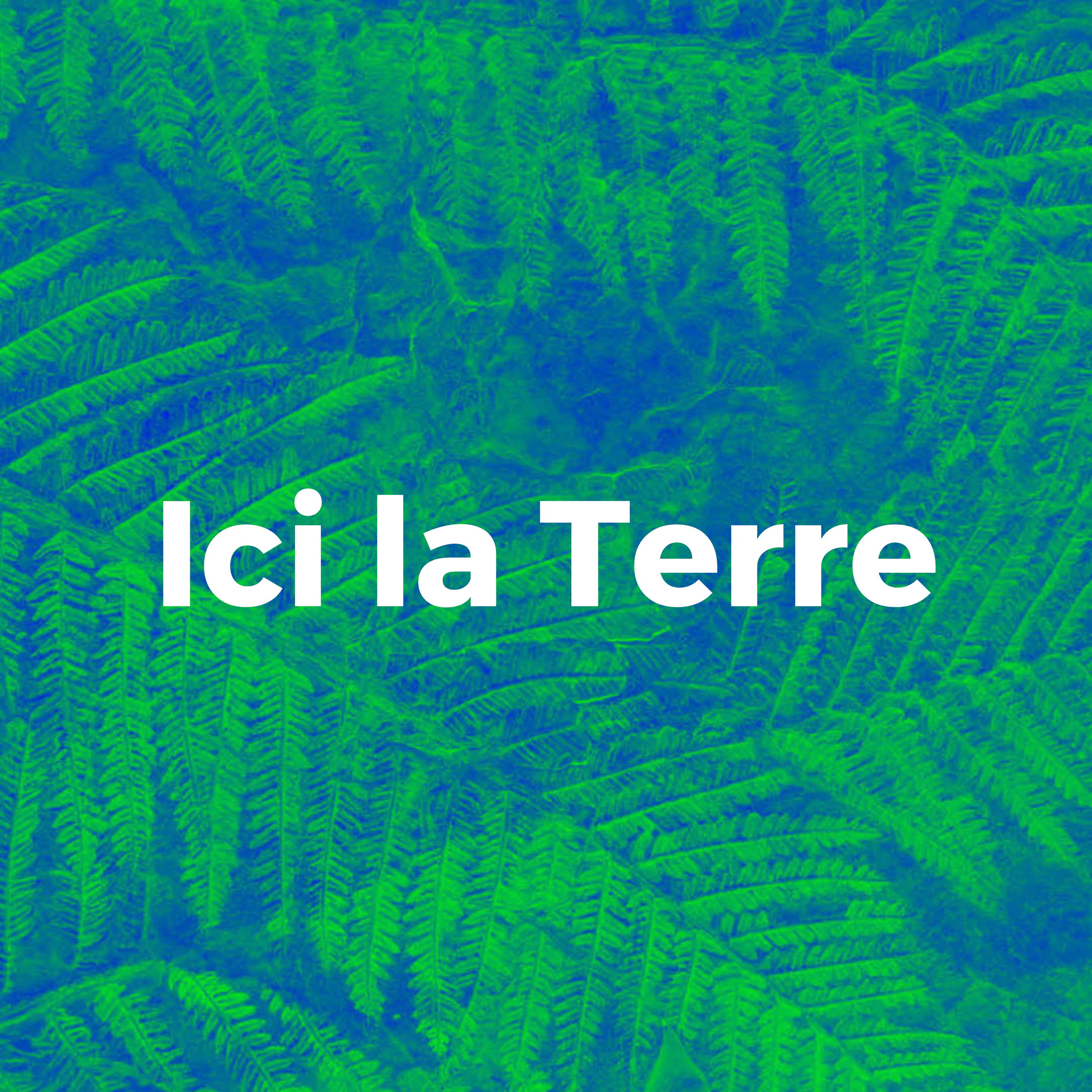 Des fougères en bichromie vert et bleu avec le texte "Ici la Terre"