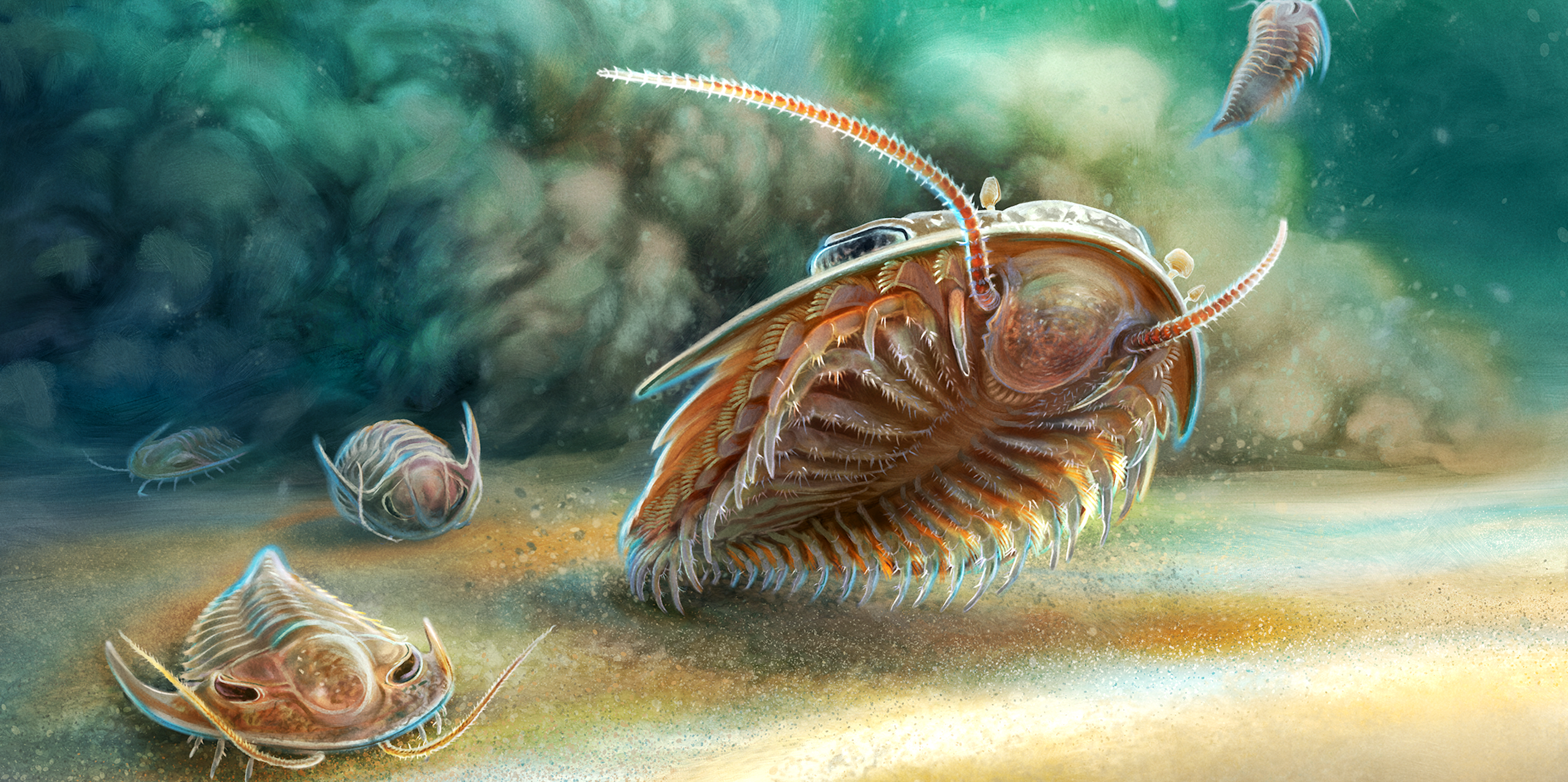Vue d'artiste de l'explosion du volcan qui a enseveli les trilobites. 